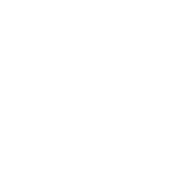 Vixl Systems